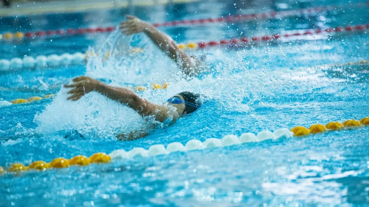 Schwimmwettkampf in Nördlingen — 19 Delphine holen 49 Podestplätze.